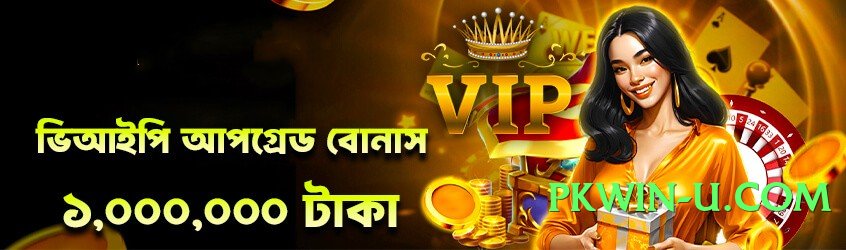 winpkr Chief v10.0.0 2025 Screenshot 2