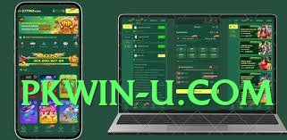 winpkr Super 2025 Screenshot 4